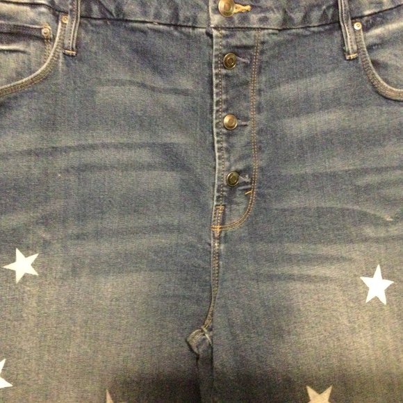 Plus Size 20 Upcycled Magnolia Pearl Inspired Jean - Picture 9 of 9